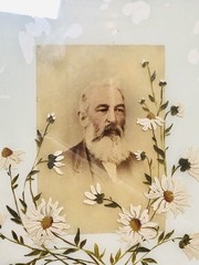 Lot 2 Vintage Gold Framed Black White Portrait Photographs Hand Painted Flowers