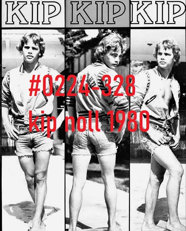 VINTAGE MALE PORTRAIT #0224-328 -kip noll 1980 -free shipping usa