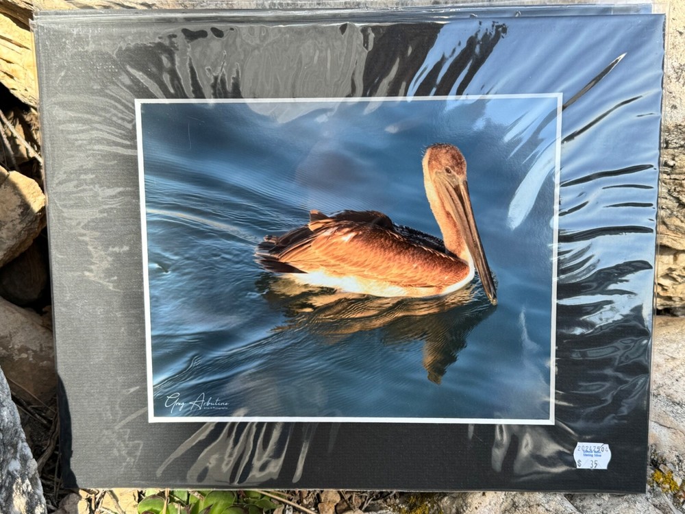 Artist Greg Arbutine 8″x10″ Photograph in 11″x14″ black mat «Rusty Pelican»