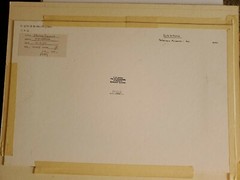 STATION SQUARE LG ORIGINAL SIGNED ART PHOTO COLOR STETTNER VTG MATTE NJ CAMERA