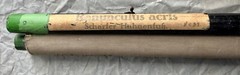 Sharp Hahnenfuss Wall Chart by Jung, Koch & Quentell c1905 Publisher Frommann