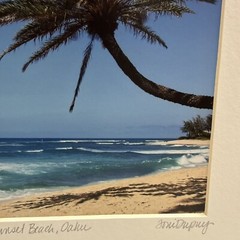 Sunset Beach Oahu Honolulu Hawaii Photographed & Signed By Toni Duprey Palm Tree