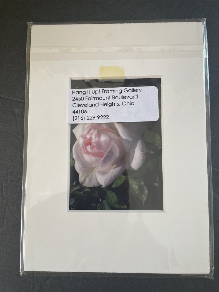 Flowers Photography by: “Muggs” Margolis Framable Art 5 X 7