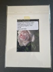 Flowers Photography by: “Muggs” Margolis Framable Art 5 X 7