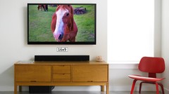 Close-up on a Wild Horse High Resolution Image, In Many Formats, TV Art