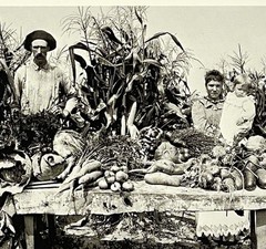 Wisconsin – Menominee River Boom Co. Garden 1895 Fotofolio Art Print Card 4”x6”