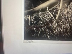 Jane Russell Limited Edition Signed Photograph by George Hurrell 30×36
