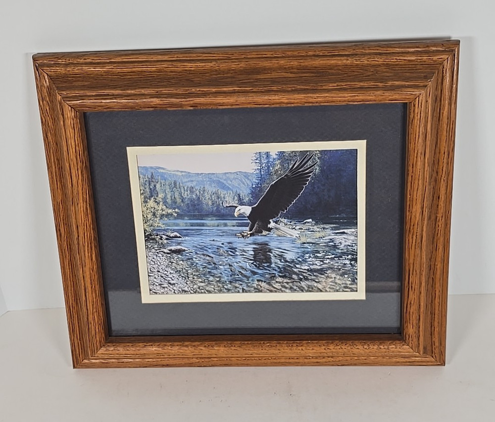 Framed American Bald Eagle Print Picture Of Eagle Coming In For A Fish Dinner