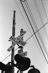 8 by 10 Black & White 35mm Film Photography Hand Made Darkroom Print Train Cross