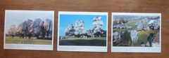 3 Christo and Jeanne-Claude, Wrapped Trees, Three Promotional Photographs, 1998