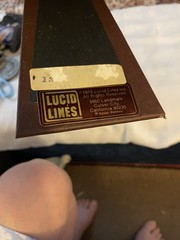 1975 Raccoon from lucid lines art photography in wicker frame 12″ x 10″