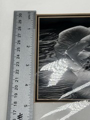 ANSEL ADAMS Art Photo ROSE and DRIFTWOOD 1932 4 X6 Print Matted 8 X 10