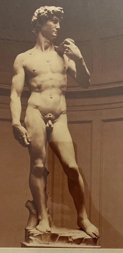 Photo of David sculpture by Michelangelo Framed Matted w/Glass EUC 18×13.5