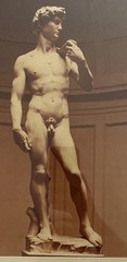 Photo of David sculpture by Michelangelo Framed Matted w/Glass EUC 18×13.5