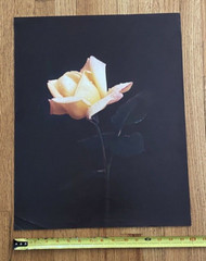 Large Yellow Flower Art Print Original Vintage 1980’s 16″X 21″ #2