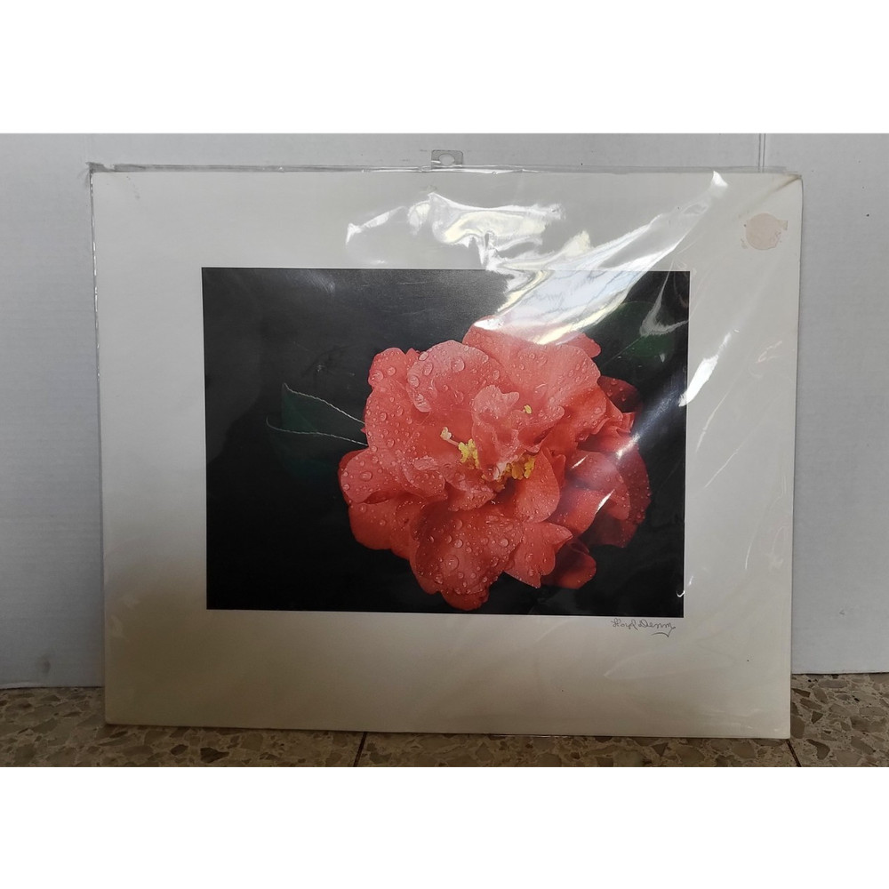 Botanical Flower Color Photograph Matted Landscape Print