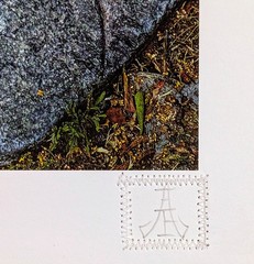 PixelPusher 9×12 Inch Archival Photography Print (Hahnemühle Paper) WC05 Italy