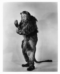 Wizard Of Oz Bert Lahr The Cowardly Lion Photo Poster 13×19