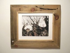 fine art black and white photographs north woods strange