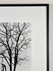 Original Signed John Bower 35mm Fine Art B&W Photograph 20×16 Framed Midwest Art