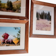 Steamboat Springs Hot Air Balloon Nature Landscape Wood Framed Wall Art lot 3