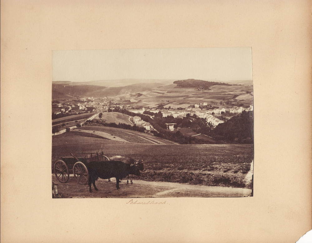 Antique Photograph Ox and Cart Country Landscape 5 1/4 x 7″