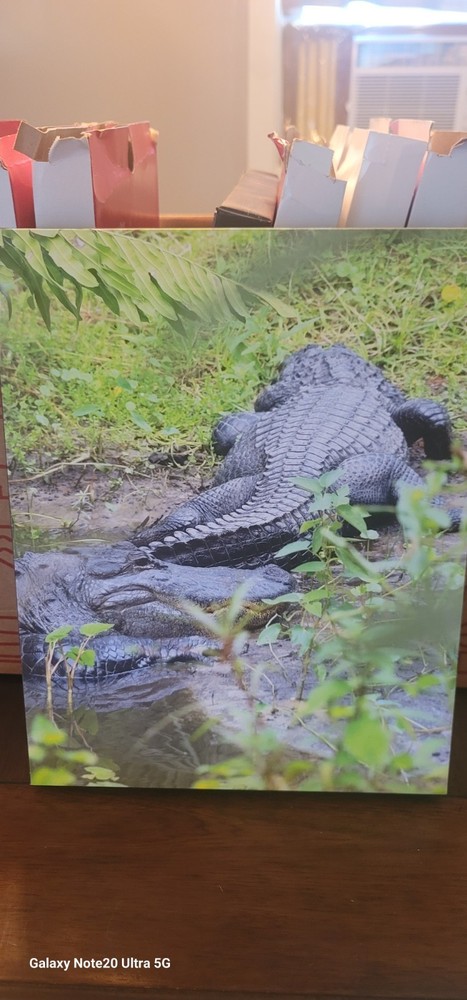 11x14in Canvas Print For Sale