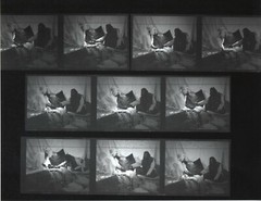 ORIGINAL AFRICAN AMERICAN PHOTOGRAPHER CHESTER HIGGINS AFRICAN BURIAL GROUND