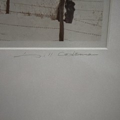 VTG Signed Number184/500 Bill Coleman Photograph AMISH No. 310 January’s Wedding