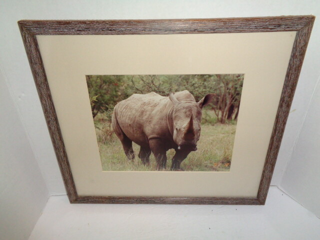 African Rhino Original Photograph, 16 x 13″ Custom Matted And Framed