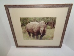 African Rhino Original Photograph, 16 x 13″ Custom Matted And Framed