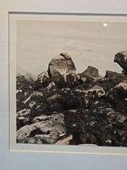 Calf Cove By Norma Warden Framed Photograph Signed Dated Vintage 1985