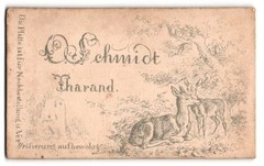Photograph O. Schmidt, Tharand, Ricke with fawn in the forest CDV/Cabinet Photo