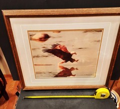 THOMAS D. MANGELSEN COLOR EAGLE PHOTOGRAPH SIGNED AND NUMBERED 102/850