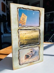 Custom wood Piranha beach photography art home deco by Steve Harris