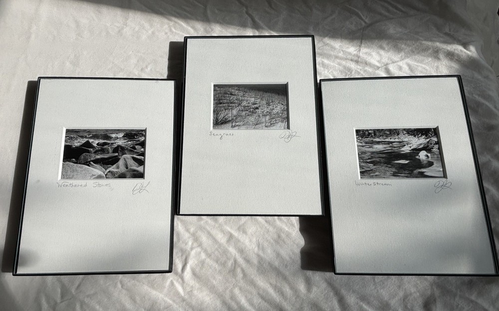 3 Black & White Minimal Modern Framed Photo Art Nature Titled Artist Signed
