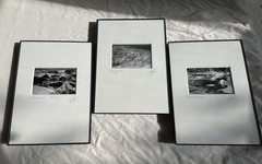 3 Black & White Minimal Modern Framed Photo Art Nature Titled Artist Signed