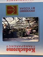 Lot Of 39 Vintage Art Fashion Worldwide Vacation Amateur 35mm Color Slides
