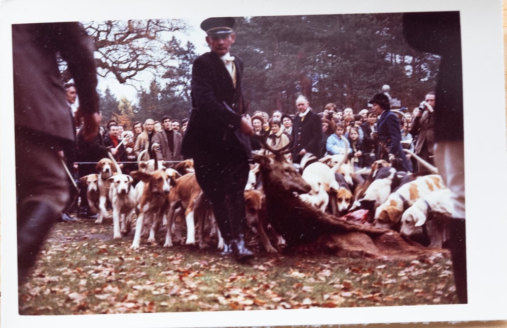 Vintage Photo France Hunting Dog 7X10Cm 1970