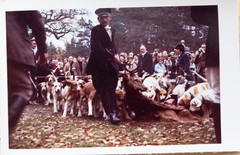 Vintage Photo France Hunting Dog 7X10Cm 1970