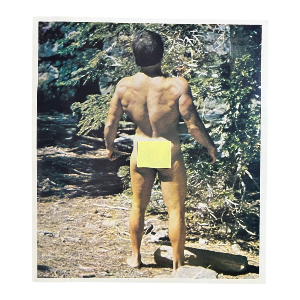 Target Studios Hollywood Color Photo Male in Trees Gay Interest USA 1975-1979