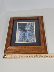 Framed American Bald Eagle Print Picture Of Eagle Coming In For A Fish Dinner