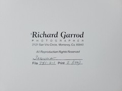Richard Garrod, silver gelatin, black and white photograph, Sequoia