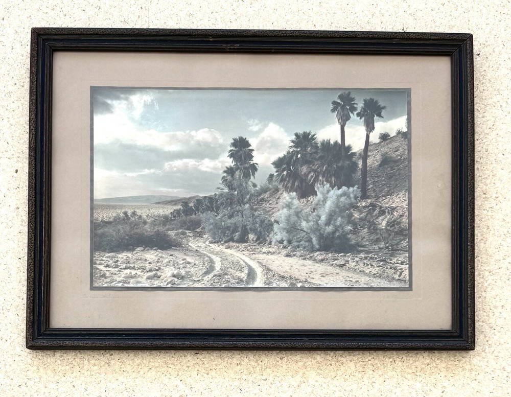 Lg VTG J.M. Garrison Hand Tinted Oil Color Photo Palm Canyon 15.5”x21.5” VGC