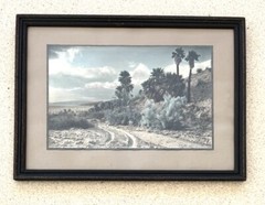 Lg VTG J.M. Garrison Hand Tinted Oil Color Photo Palm Canyon 15.5”x21.5” VGC
