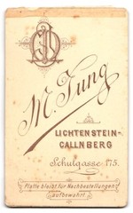 Photograph M. Jung, Lichtenstein-Callnberg, Schulgasse 175, portrait of a young