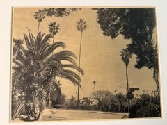 Bruce Fernandez Photography Grand View Bl Black And White Framed Photo 16”X20”