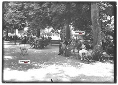 Glass Photo Positive Black and White 13×18 cm Vittel Vosges, Public Park