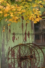 Old Barn Photo, Pick One Image – Various Sizes