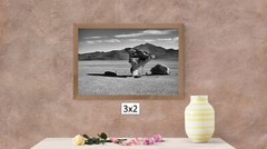 BW Rock Tree in Uyuni Desert, High Resolution Image, Many Formats, TV Art